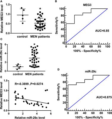 Long Non-Coding RNA MEG3 Modifies Cell-Cycle, Migration, Invasion, and Proliferation Through AKAP12 by Sponging miR-29c in Meningioma Cells